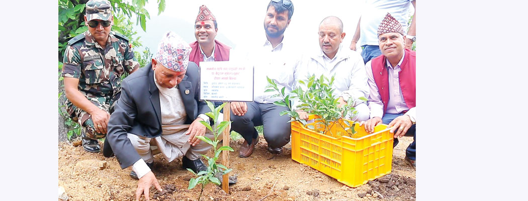 623-kashha-vakasaka-lga-tana-vata-tahaka-sarakaral-kashha-kashhatarama-jada-thanaparana-2023-06-19