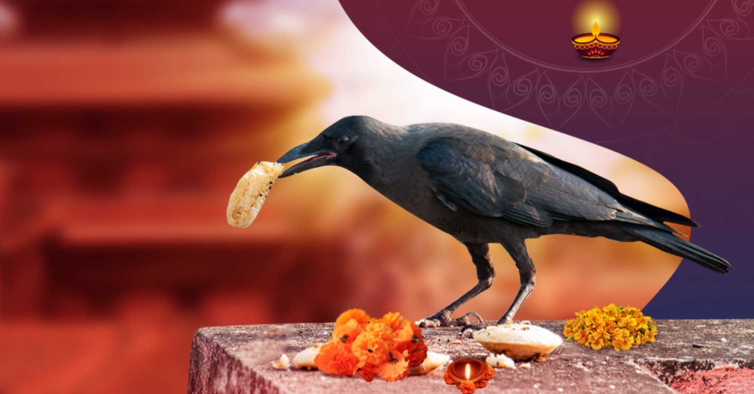 507-thasara-thal-cada-tahara-aajathakha-vathhavata-rapama-shara-aaja-kaga-tahara-2023-11-11