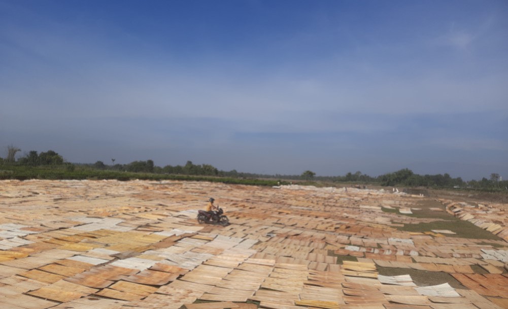 962-panatayakasathata-bhanasarama-tana-satathakha-taraka-napal-paliuda-rakae-2025-04-05