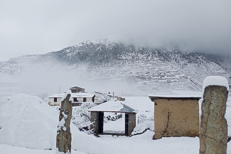 463-hamalsahata-karanaelka-ucaca-jallma-hamapata-2024-12-28