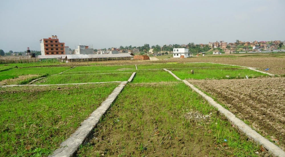 389-manasarama-ghara-jagagaka-karabra-ramara-rajashavama-vathathha-2024-12-18