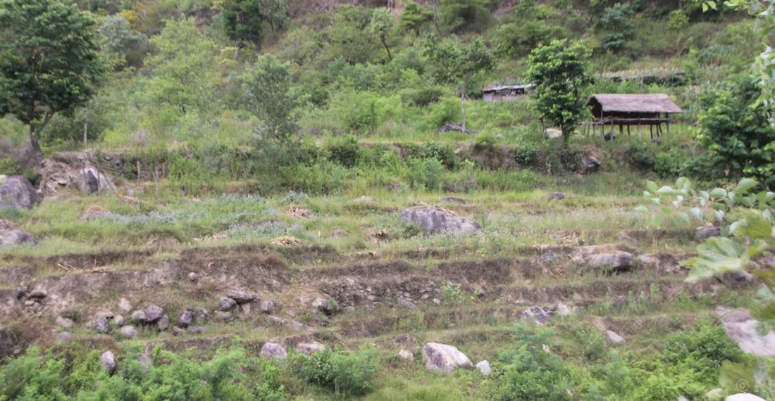 ट्र्याक खोल्ने क्रममा सिँचाइ कुलोमा क्षति