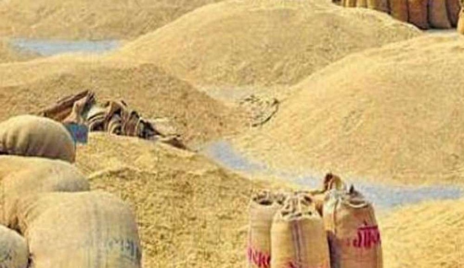 278-sarakaral-takaka-nayanatama-samarathana-malyama-thaii-thanama-pacasaya-kavanatalbhanatha-bdha-thhana-kharatha-2025-11-12