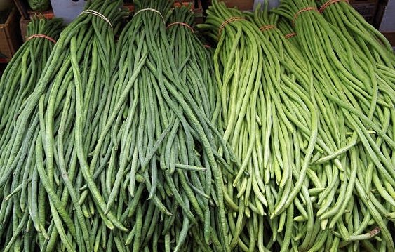 901-eka-satama-tana-bdaka-bhau-paratashatal-vathathha-2025-11-03