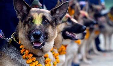 559-kakara-tahara-ra-naraka-catarathasha-2025-10-20