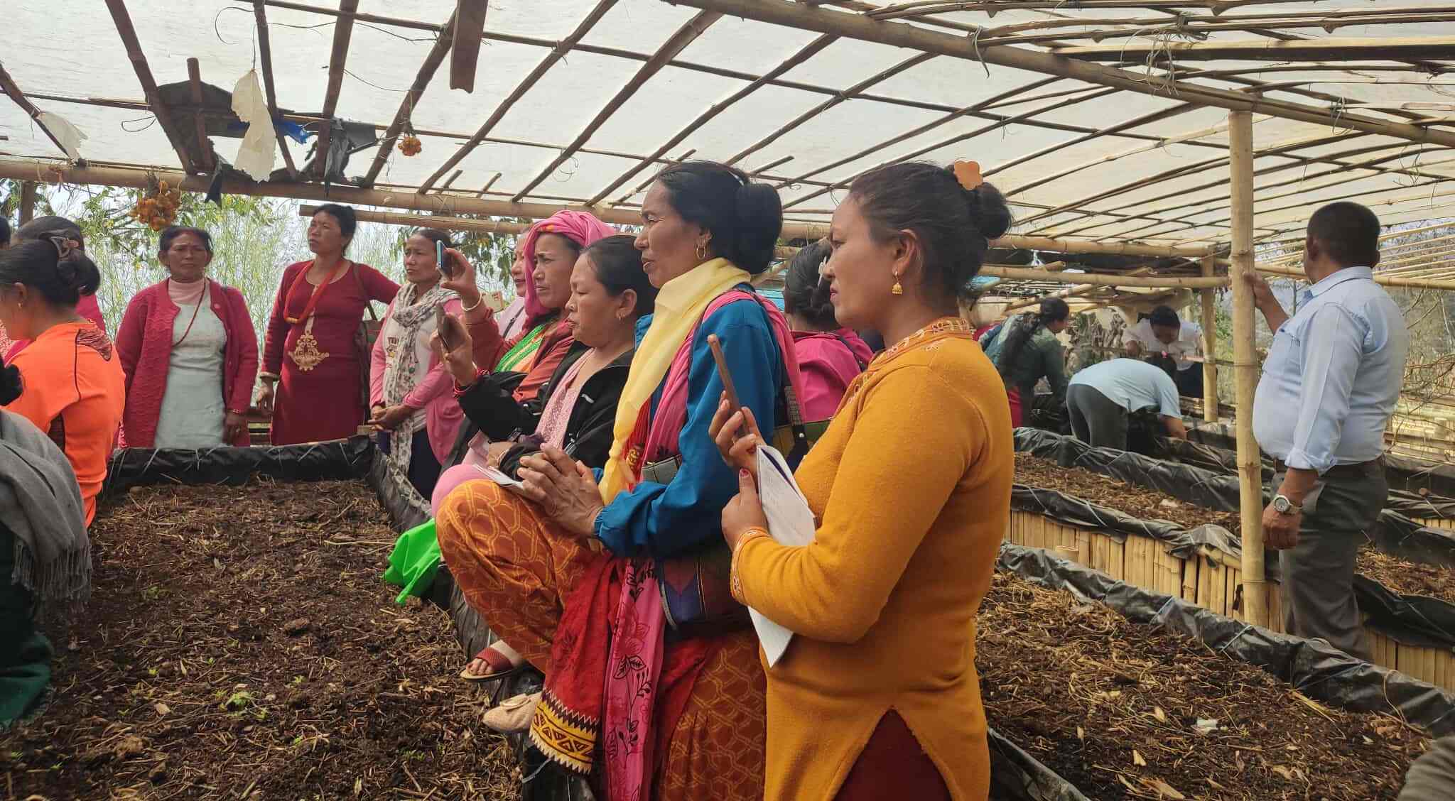 590-javakakhata-paranaellii-paravarathathhana-garana-gadayal-mal-utapathana-2025-10-24