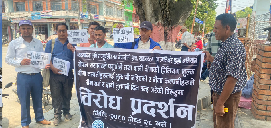 356-kashhata-pagaka-bma-rakama-napaepachha-tanahaka-padata-kasana-aanathalnama-2023-06-12