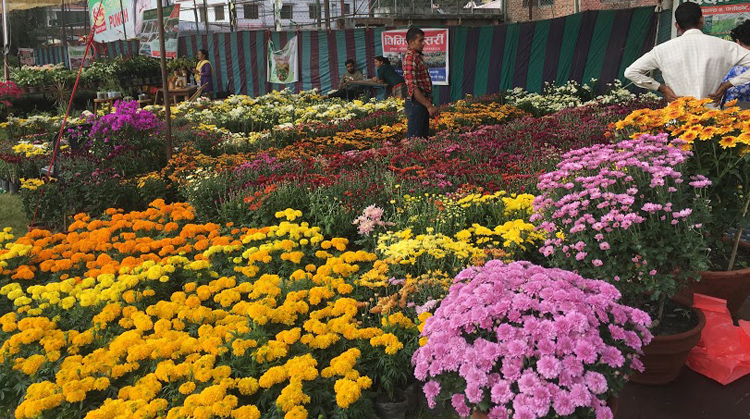 गोदावरी पुष्प मेला,चार दिनमै १ करोड ३ लाख बढीको कारोबार
